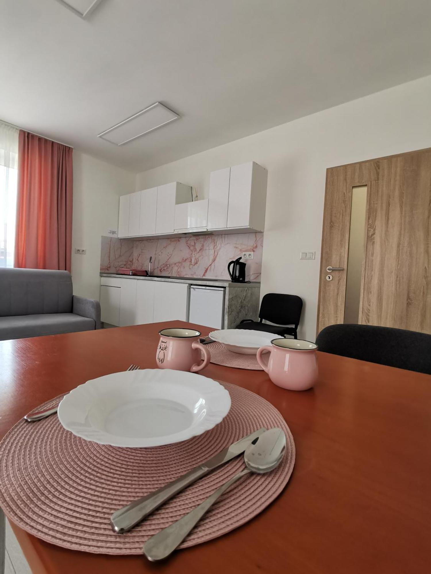 Comenius Apartments - Apartmany Na Rohu 스비드니크 외부 사진
